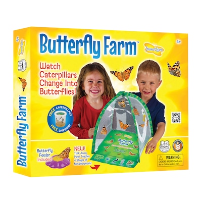 Insect Lore Butterfly Farm Science Manipulative for Students (ILP1015)