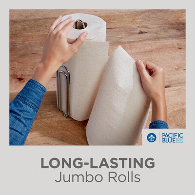 Pacific Blue Basic Recycled Paper Towels, 2-ply, 250 Sheets/Roll, 12 Rolls/Carton (28290)