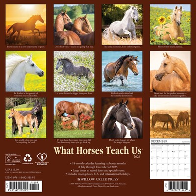 2026 Willow Creek What Horses Teach Us 12 x 12 Monthly Wall Calendar (53195)