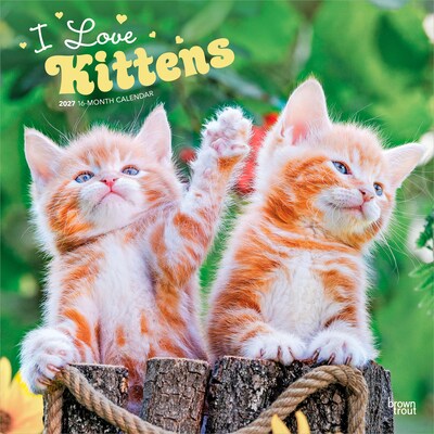 2027 BrownTrout I Love Kittens 12 x 12 Monthly Wall Calendar (9798330711802)