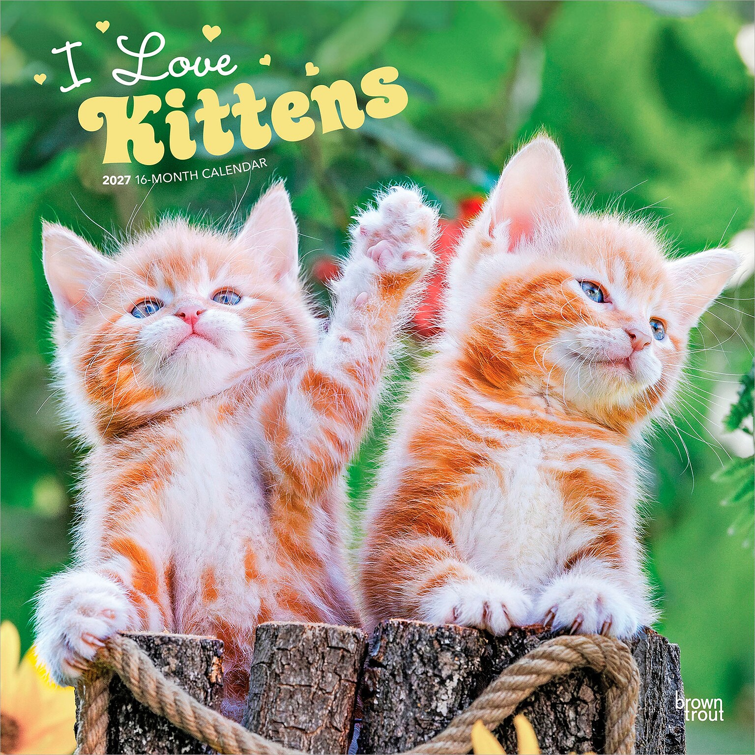 2027 BrownTrout I Love Kittens 12 x 12 Monthly Wall Calendar (9798330711802)