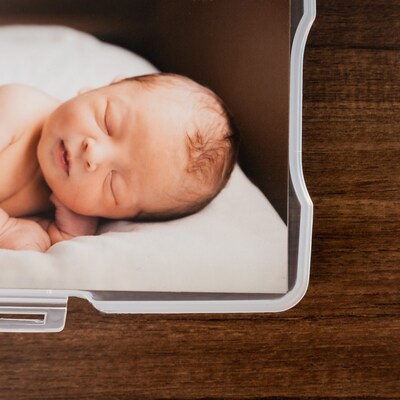 Iris Hinged Storage Bin with Photo Cases, Plastic, Clear, 2/Pack (500050)