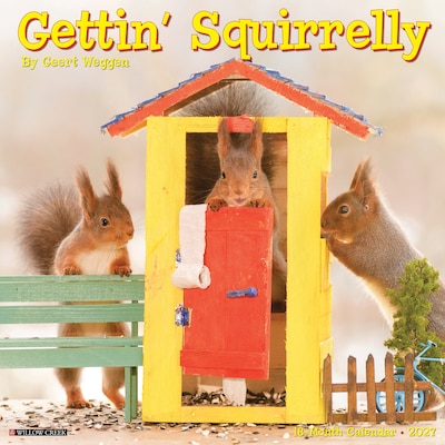 2027 Willow Creek Gettin Squirrelly 12 x 12 Monthly Wall Calendar, Assorted Colors (60407)