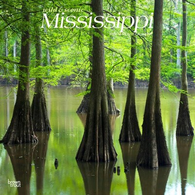 2024 BrownTrout Mississippi Wild & Scenic 12 x 24 Monthly Wall Calendar (9781975464004)