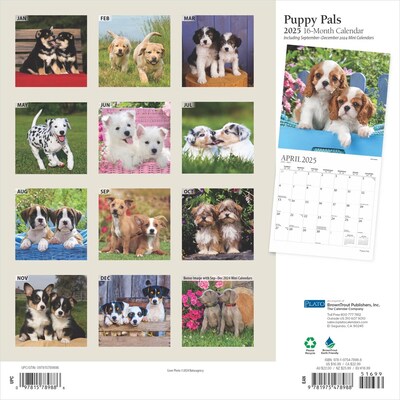2025 Plato Puppy Pals 12" x 12" Monthly Square Wall Calendar (9781975478988)
