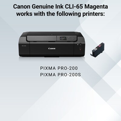 Canon 65 M Magenta Standard Yield Ink Cartridge (4217C002)
