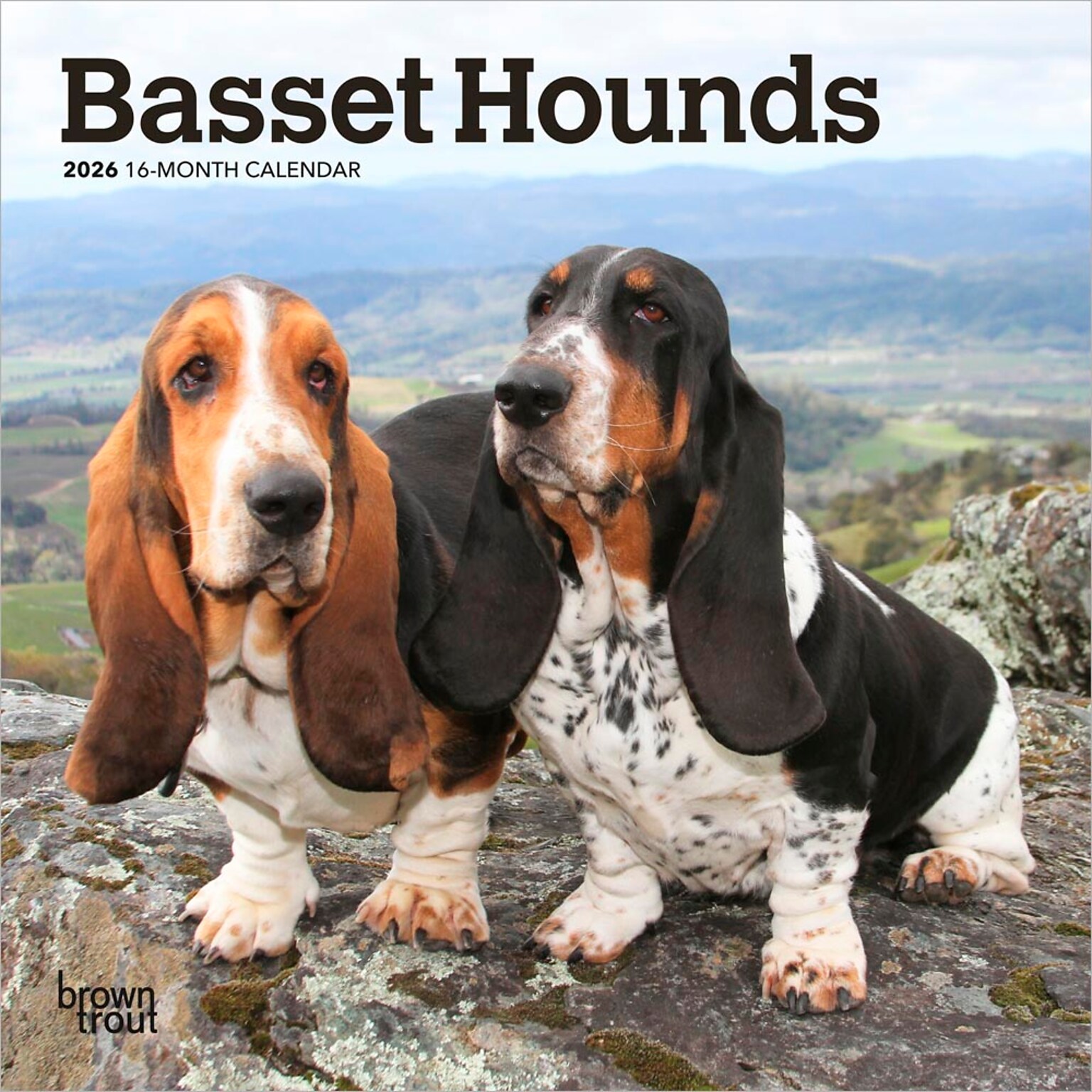 2026 BrownTrout Basset Hounds 7 x 7 Monthly Wall Calendar (9798330702312)