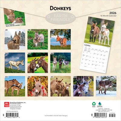 2026 BrownTrout Donkeys 12 x 12 Monthly Wall Calendar (9798330703173)