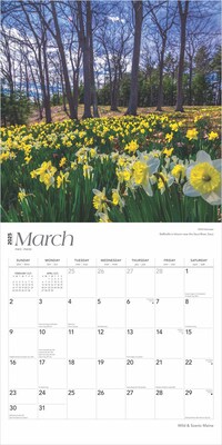 2025 BrownTrout Maine Wild & Scenic 12" x 12" Monthly Square Wall Calendar (9781975475161)