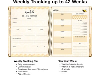 Global Printed Products Mommy to BEE 10.5" x 11.5" Weekly & Monthly Pregnancy Planner, Hardsided Cover, Beige/Black (GPP-0108)