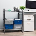 Mind Reader 2-Shelf 4-Drawer Mobile Utility Cart with Wheels, Metal, Multi (2SHROLL-ASST)