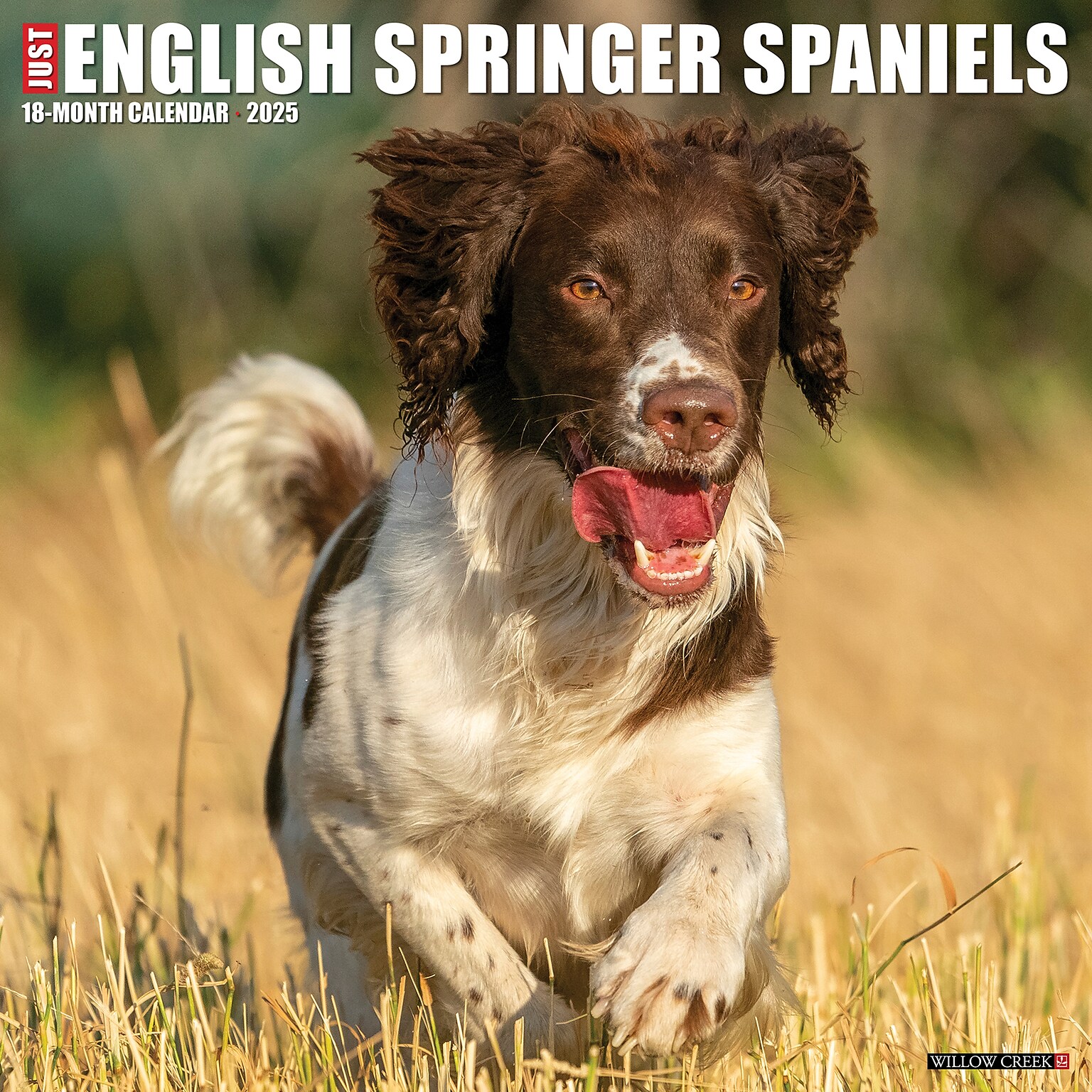 2025 Willow Creek Just English Springer Spaniels 12 x 12 Monthly Wall Calendar (42823)