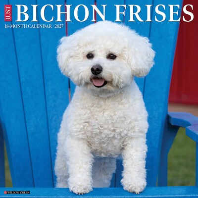 2027 Willow Creek Bichon Frises 12 x 12 Monthly Wall Calendar, Assorted Colors (59197)