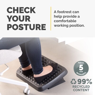 Fellowes Standard Footrests, Graphite (48121)