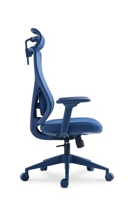 Raynor Group Torque Ergonomic Fabric/Mesh Swivel Manager Chair, Blue (TORQUE-BLU)