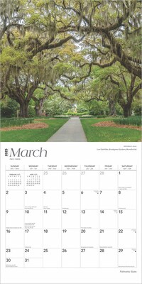 2025 BrownTrout Palmetto State South Carolina Places 12" x 12" Monthly Wall Calendar (9781975483050)
