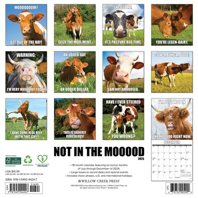 2025 Willow Creek Not in the Mooood 12 x 12 Monthly Wall Calendar (44247)