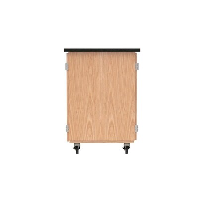 DWI Micro-Charge Station Wood Veneer Table with Storage, Brown (4741K)