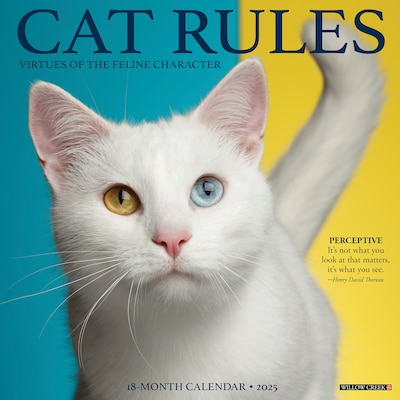 2025 Willow Creek Cat Rules 12 x 12 Monthly Wall Calendar (42199)