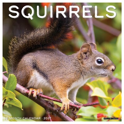 2027 Willow Creek Squirrels 12 x 12 Monthly Wall Calendar, Assorted Colors (62470)
