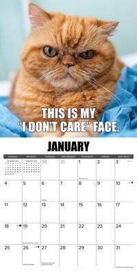 2026 Willow Creek Not So Pawsitive 12" x 12" Monthly Wall Calendar (56011)
