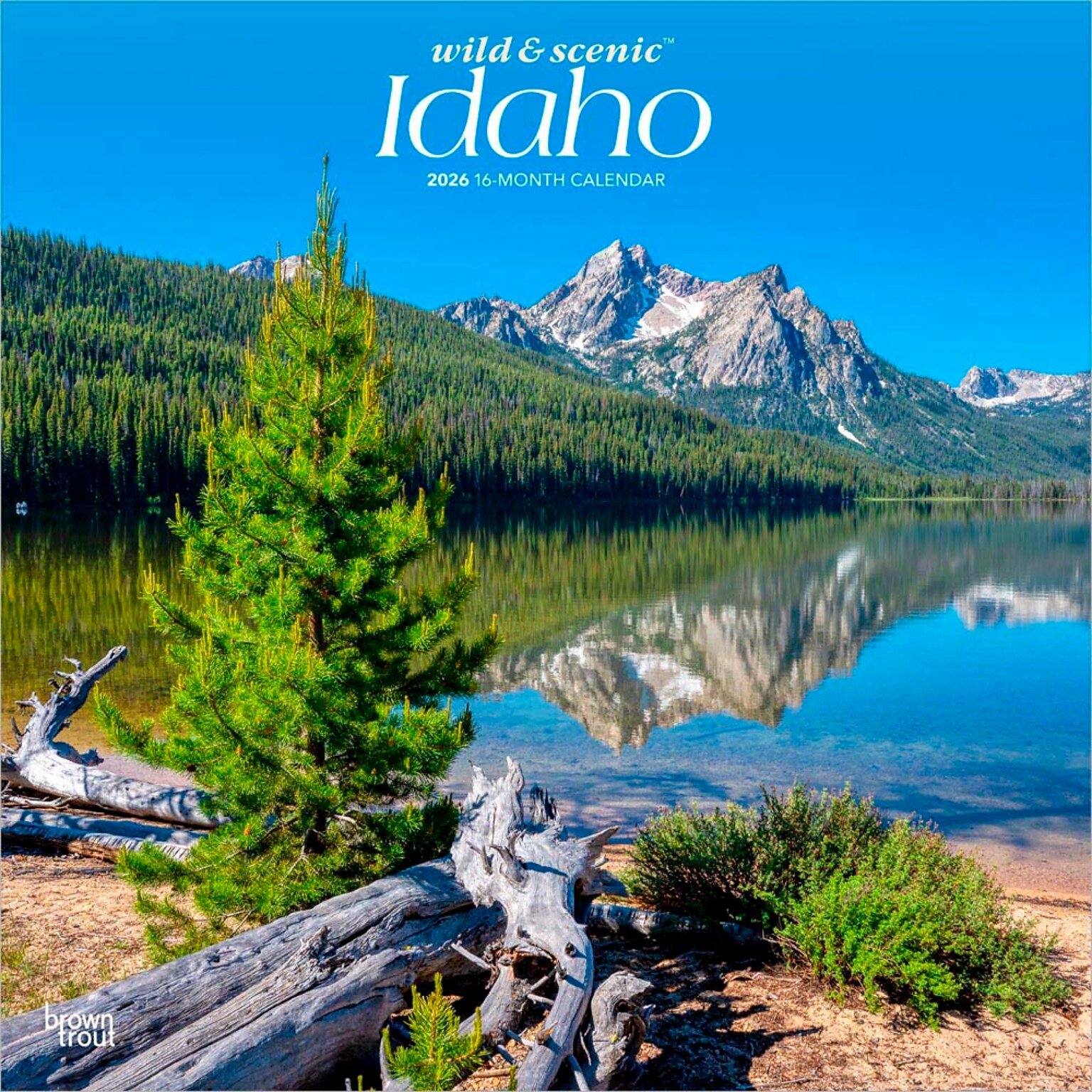 2026 BrownTrout Idaho Wild & Scenic 12 x 12 Monthly Wall Calendar (9798330703838)