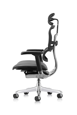 Eurotech Ergohuman Gen2 High Back Mesh Office Chair w/ Headrest, Black (LEM4ERG-GEN2)