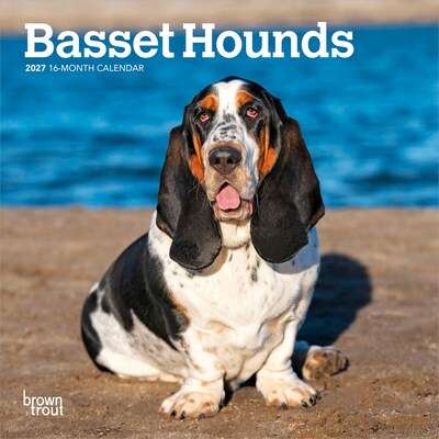 2027 BrownTrout Basset Hounds 7 x 7 Monthly Wall Calendar, Assorted Colors (9798330714094)