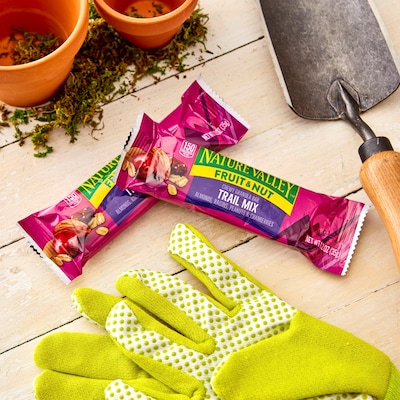 Nature Valley Fruit & Nut Nutrition Bar, 16 Bars/Box (GEM1512)