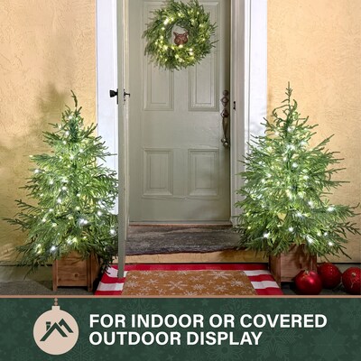 Fraser Hill Farm 4' Real Feel Pre-Lit Artificial Christmas Trees (FFRF048P-5MGR)