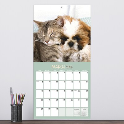 2026 TF Publishing Furry Friends 12" x 12" Monthly Wall Calendar (26-1011)