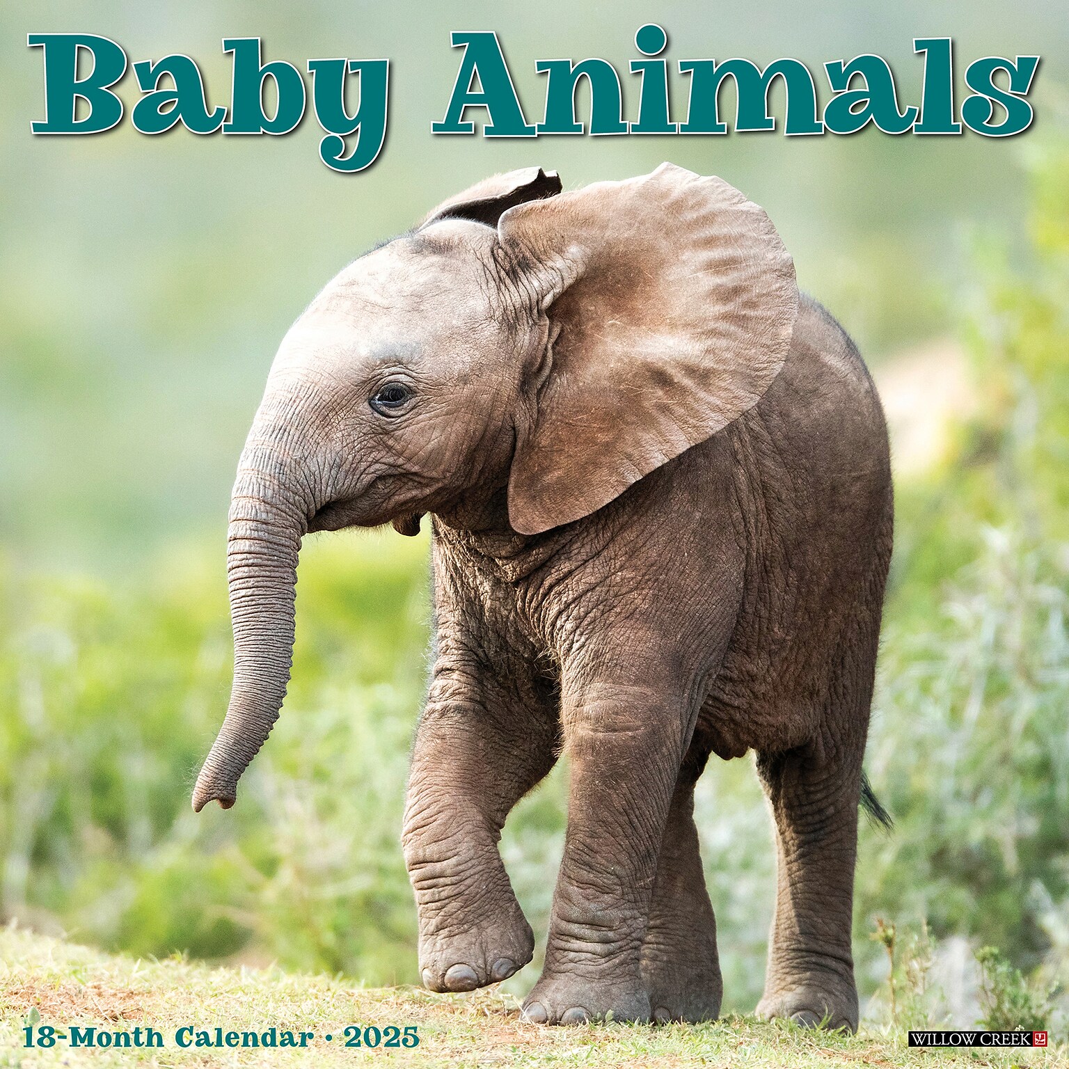 2025 Willow Creek Baby Animals 12 x 12 Monthly Wall Calendar (41529)