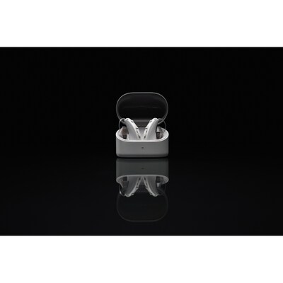 Zepp Clarity Omni Hearing Aids, Gray (E2317OV2N)