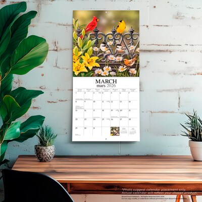 2026 BrownTrout Feathered Friends 12" x 12" Monthly Wall Calendar (9781773728780)