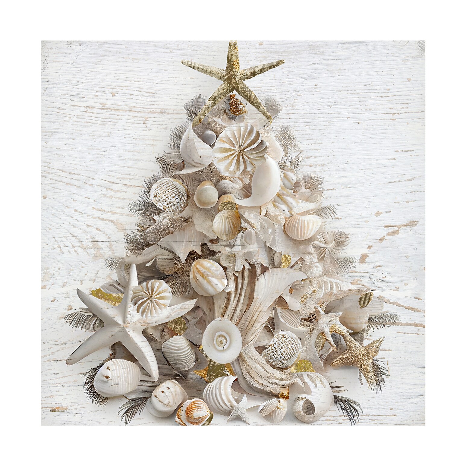 Trademark Fine Art Sasha Seaside Christmas I Canvas Art, 24 x 24 (ALI67654-C2424G)