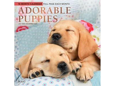 2023-2024 Plato Adorable Puppies 12 x 12 Academic & Calendar Monthly Wall Calendar (9781975467203)