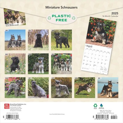 2025 BrownTrout ature Schnauzers 12 x 12 Monthly  Wall Calendar (9781975477684)