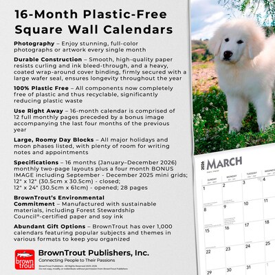 2026 BrownTrout Great Pyrenees 12" x 12" Monthly Wall Calendar (9798330703531)