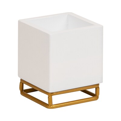 Mind Reader Pen Holder, White (PENWD-WHT)