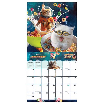 2027 TF Publishing Space Cats 11 x 12 Monthly Wall Calendar, Multicolored (27-1026)