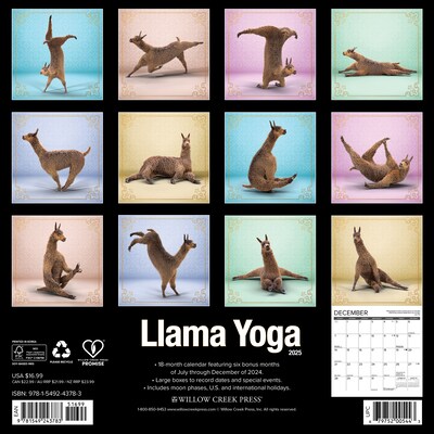 2025 Willow Creek Llama Yoga 12 x 12 Monthly Wall Calendar (43783)
