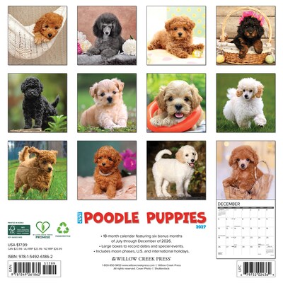 2027 Willow Creek Multi 12 x 12 Monthly Wall Calendar, Assorted Colors (61862)