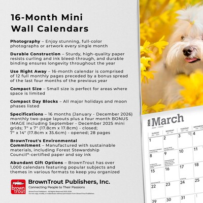 2026 BrownTrout Maltese 7" x 7" Monthly Wall Calendar (9798330704507)