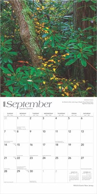 2025 BrownTrout New Jersey Wild & Scenic 12" x 12" Monthly Square Wall Calendar (9781975475390)