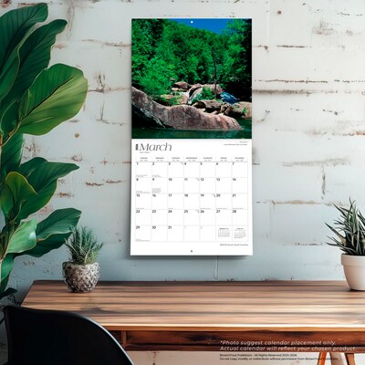 2026 BrownTrout South Carolina Wild & Scenic 12" x 12" Monthly Wall Calendar (9798330705658)