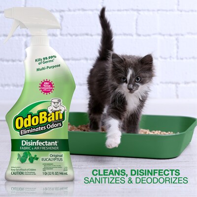 OdoBan Air Freshener & Deodorizer Spray, Original Eucalyptus Scent, 32 oz. (910061-Q6)