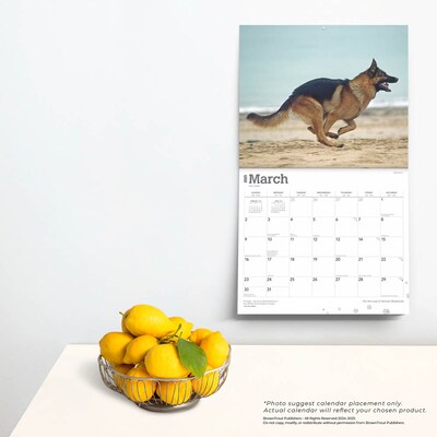 2025 BrownTrout For the Love of German Shepherds 7" x 12" Monthly  Wall Calendar (9781975473037)