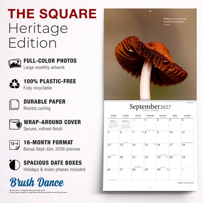2027 BrownTrout Magic Mushrooms 12" x 12" Monthly Wall Calendar (9798330714025)