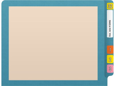 Medical Arts Press Reinforced End Tab File Folder, Straight-Cut, Letter Size, Manila/Blue, 50/Box (S-09473-BLU)