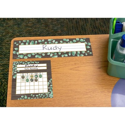 Teacher Created Resources Eucalyptus Flat Name Plates, 3.5" x 11.5", 36 Per Pack, 6 Packs (TCR8691-6)
